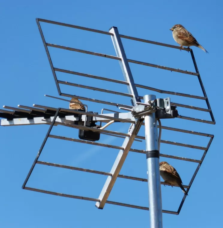 Dépannage d'une antenne à Gap, Saint-Bonnet-en-Champsaur, PIERRE POURROY Dépannage